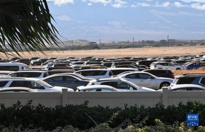 野火灾难重创夏威夷毛伊岛旅游业，汽车出租业面临严峻挑战